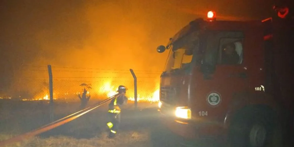 Пожар в Ла Сьерпе сжег 250 гектаров пастбищ