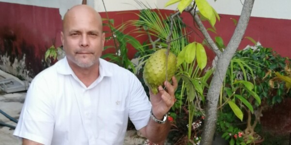 Николас Мадуро сажает кешью в Венесуэле, сможет ли Куба последовать его примеру?