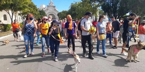 Активист, вызванный кубинскими властями перед паломничеством на День собак