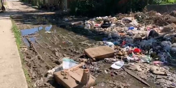 Предупреждение о распространении вируса Оропуше на Кубе