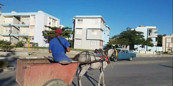 Новое феминицид в Сантьяго-де-Куба